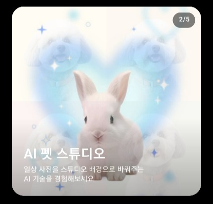 사진6