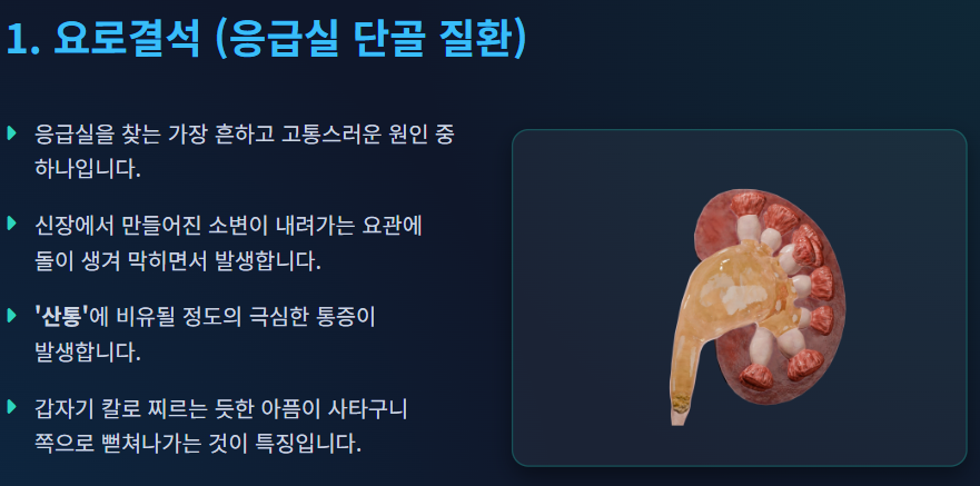 왼쪽 옆구리 통증 의심되는병
