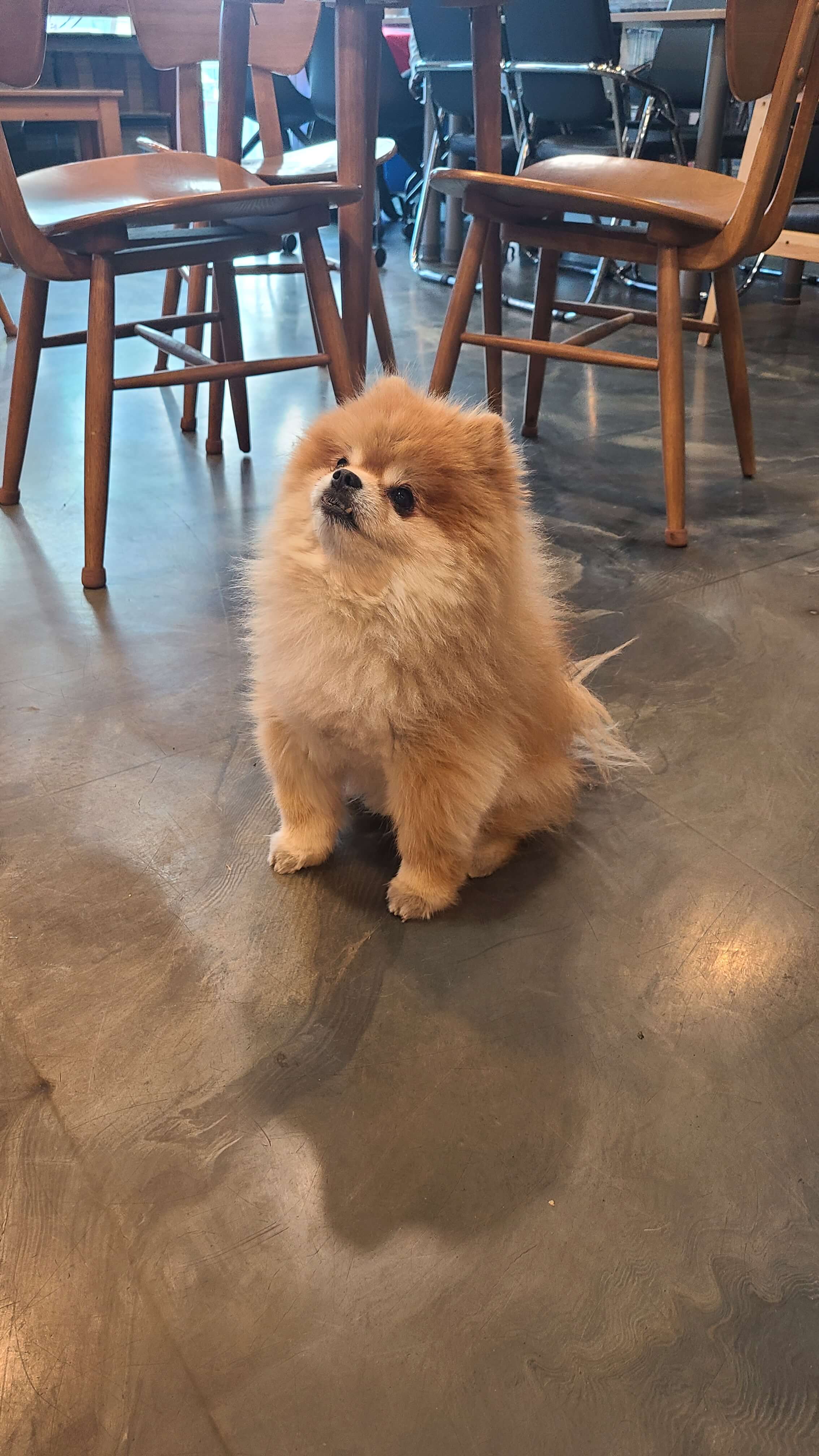 레트로카페-트레이더-레오