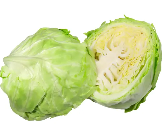 역류성 식도염에 좋은 음식 피해야 할 나쁜 음식