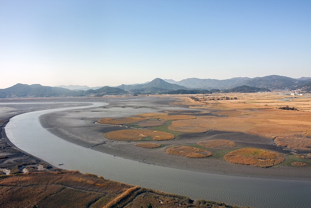 순천만