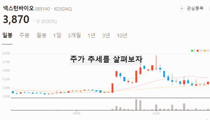 비만치료제 관련주 대장주 비만약 관련 주식 TOP5