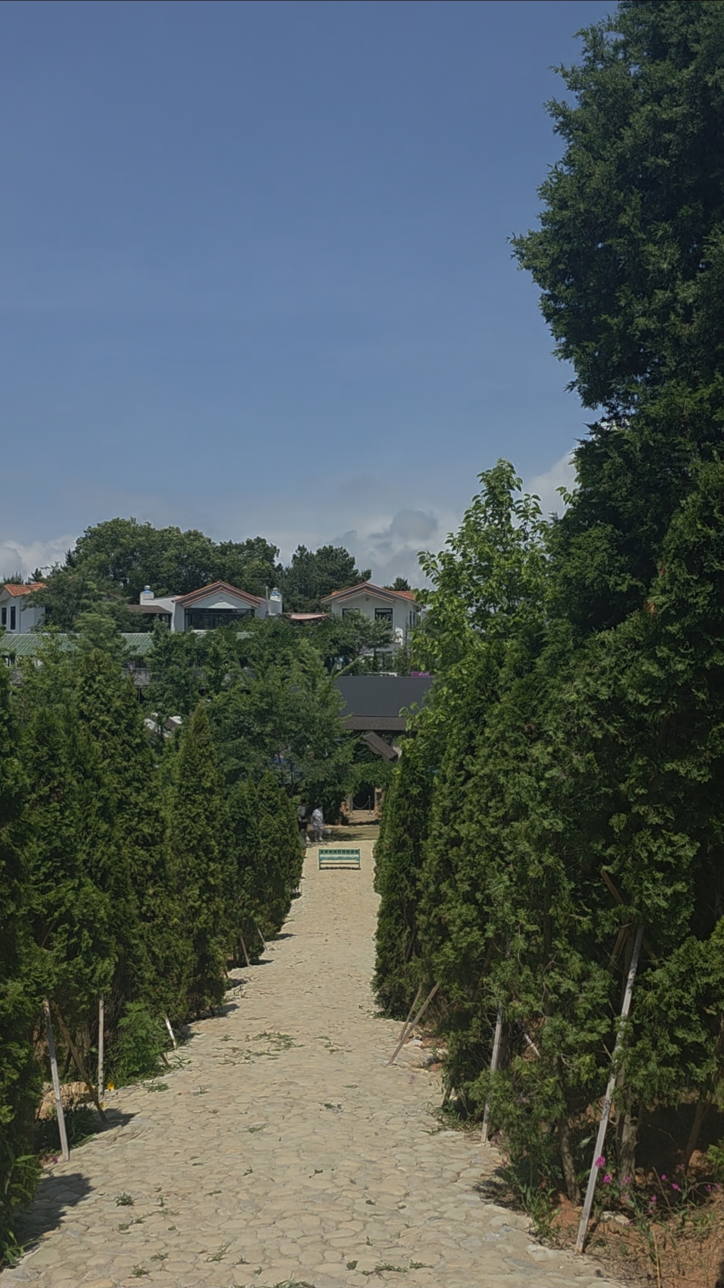 팜카밀레 허브농원