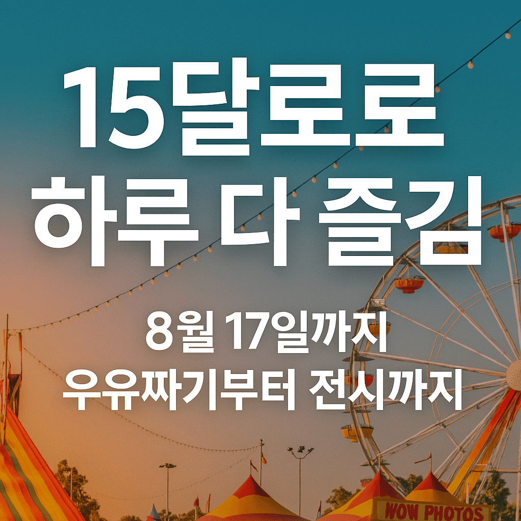 15달러로 하루 다 즐김
