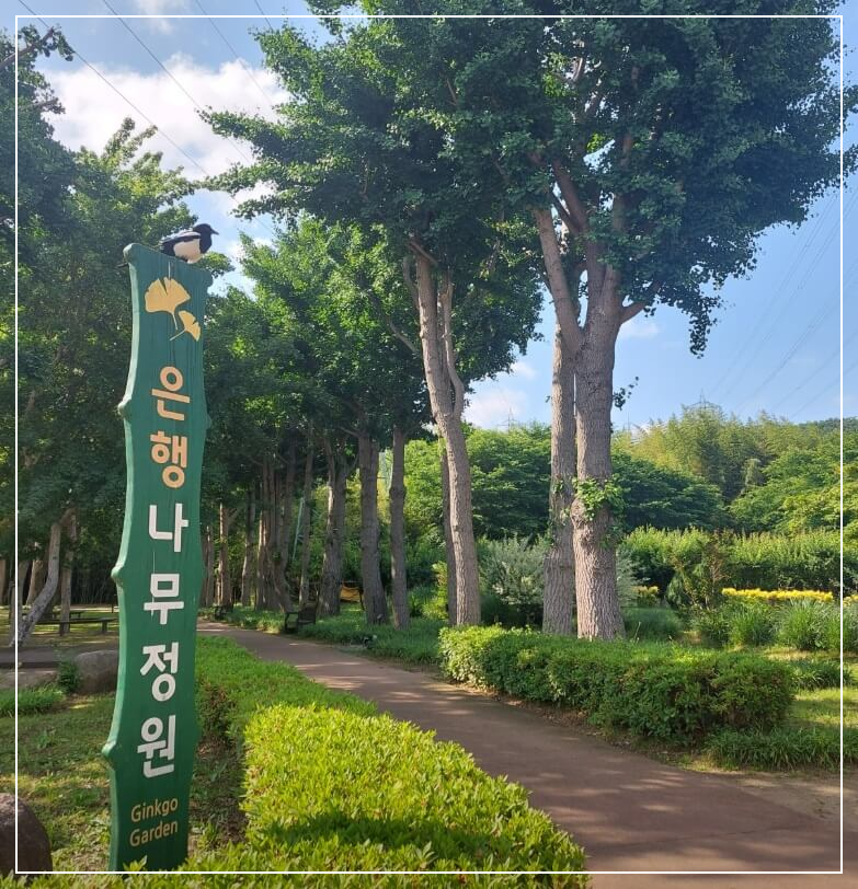 울산 가볼만한곳 베스트10 태화강 국가정원