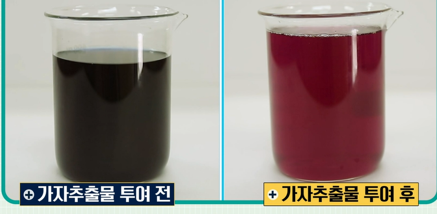 가자추출물 효능