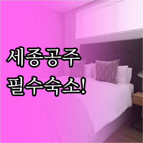 세종시 호텔 추천 및 공주 가성비 숙..