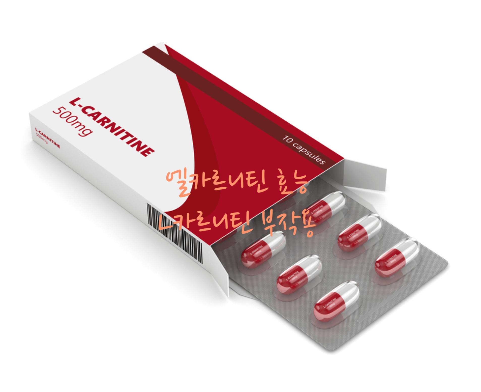 엘카르니틴 효능