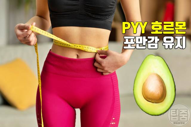아보카도 매일 먹으면 아보카도 효능 다이어트 성공 후 유지 아보카도 1인분