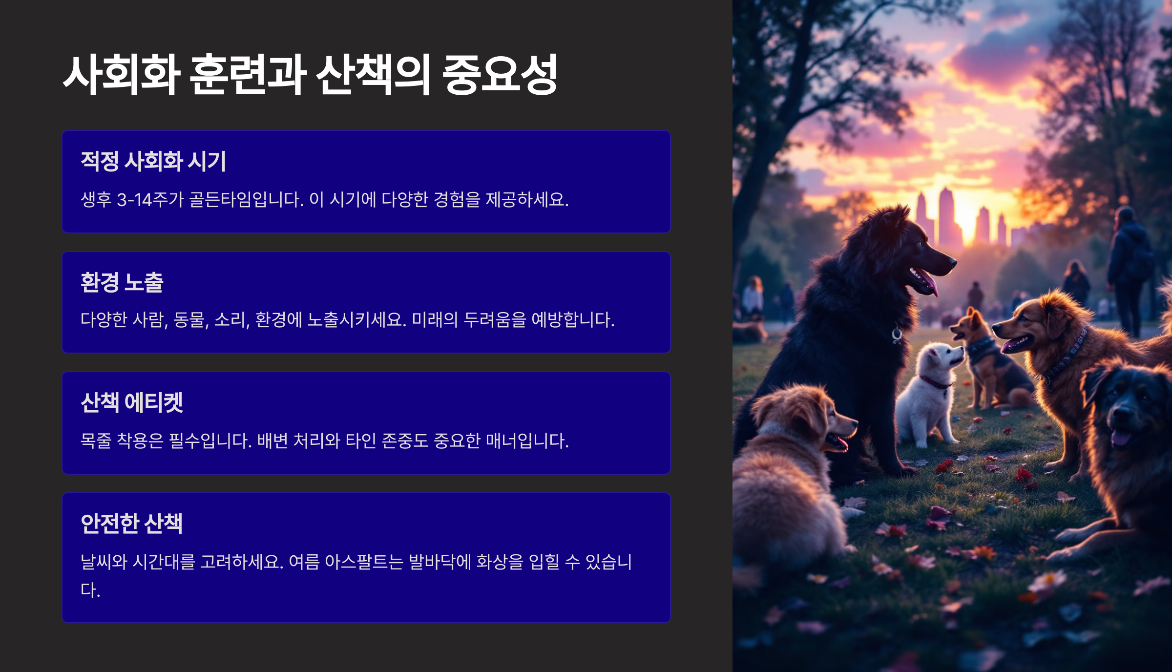반려견 키우기 완벽한 초보 가이드