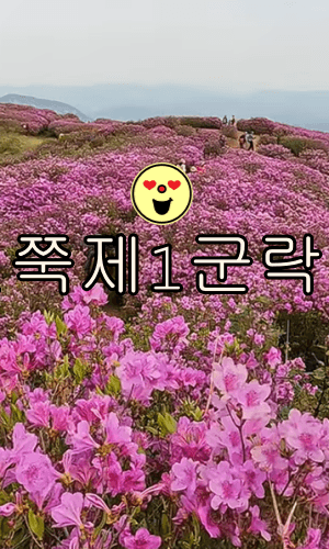 황매산 최단코스