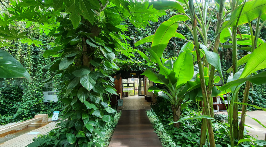 양평 가볼만한곳 베스트10