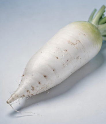 기관지에 좋은 음식