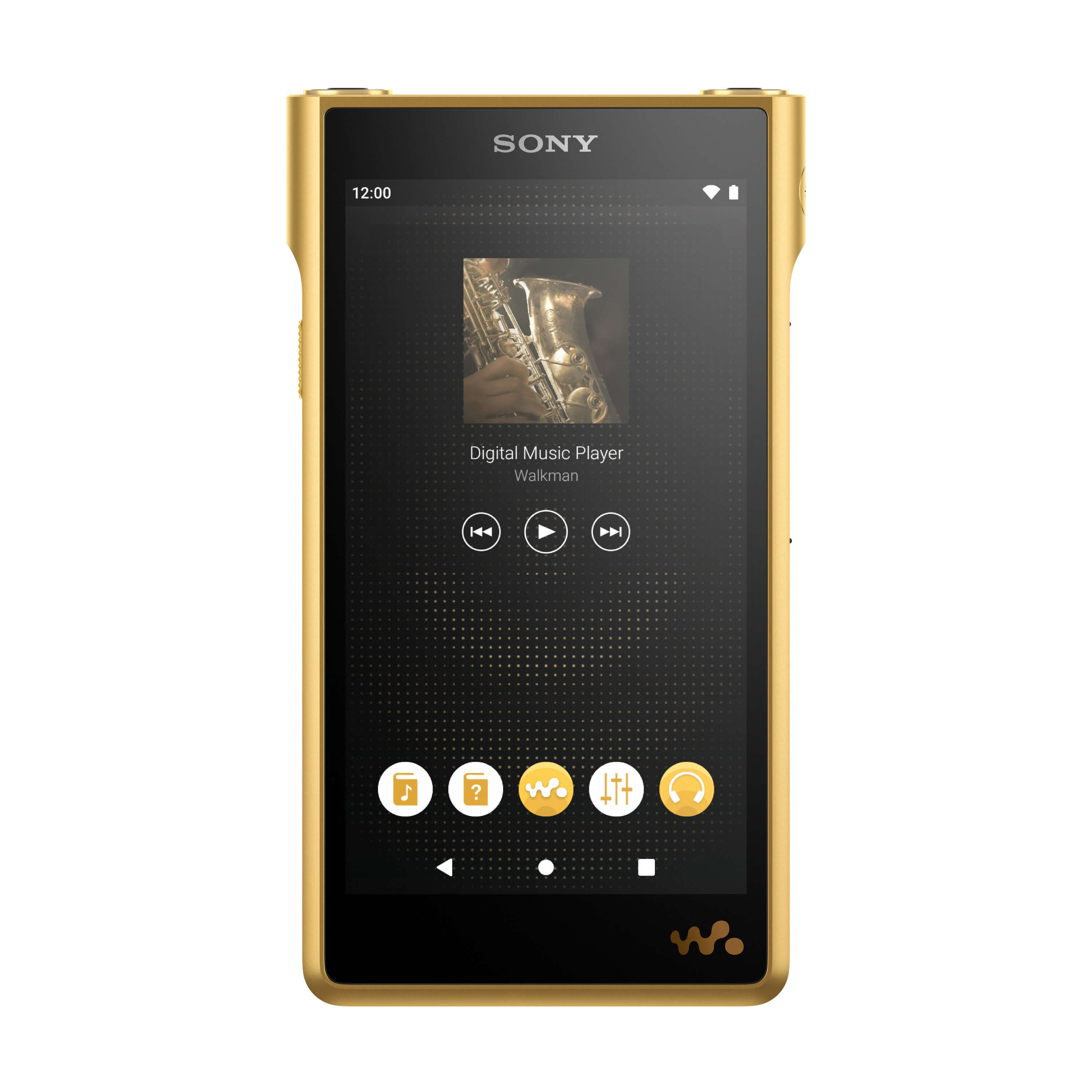 소니 워크맨 시리즈 NW-WM1ZM2