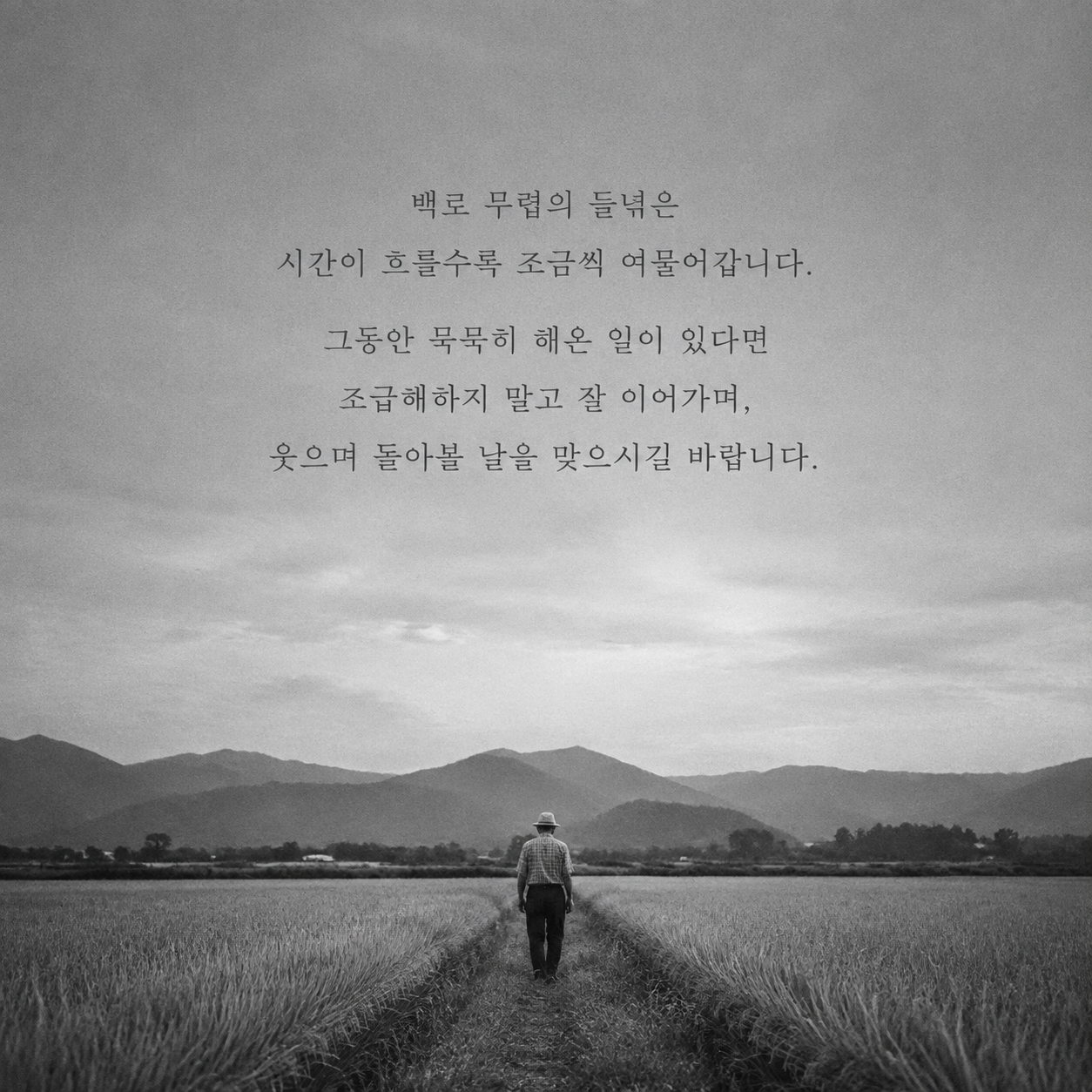 백로 들녘처럼 꾸준히 해온 일이 잘 여물기를 바라는 가을 인사 이미지