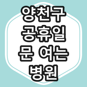 서울시 양천구 공휴일 진료 하는 병원과 공휴일 진료 시간