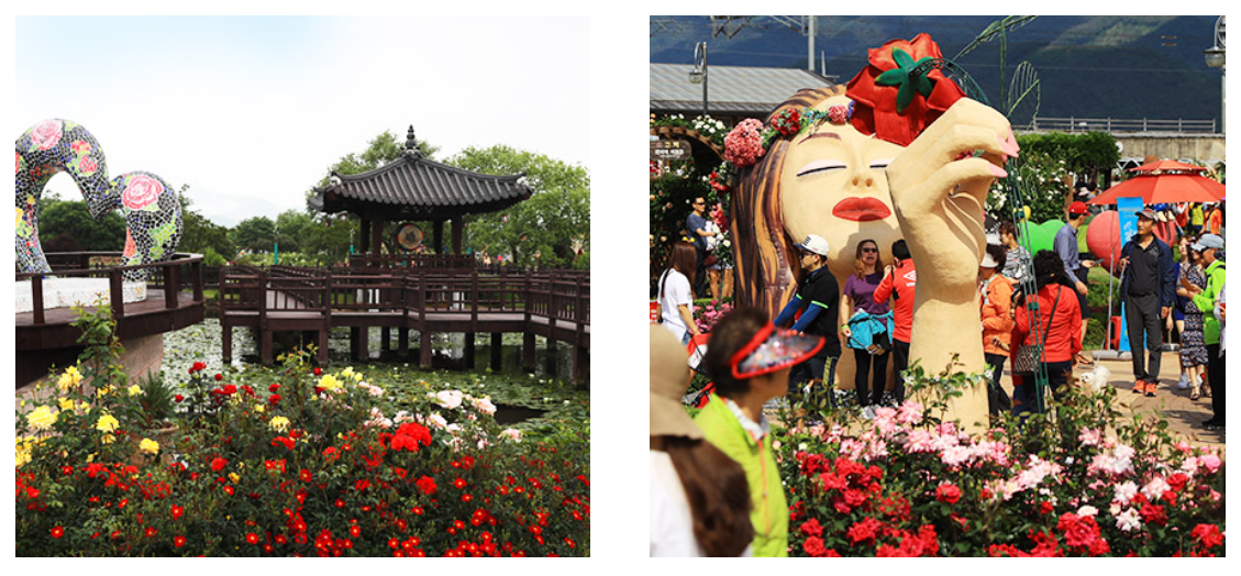 곡성 세계장미축제