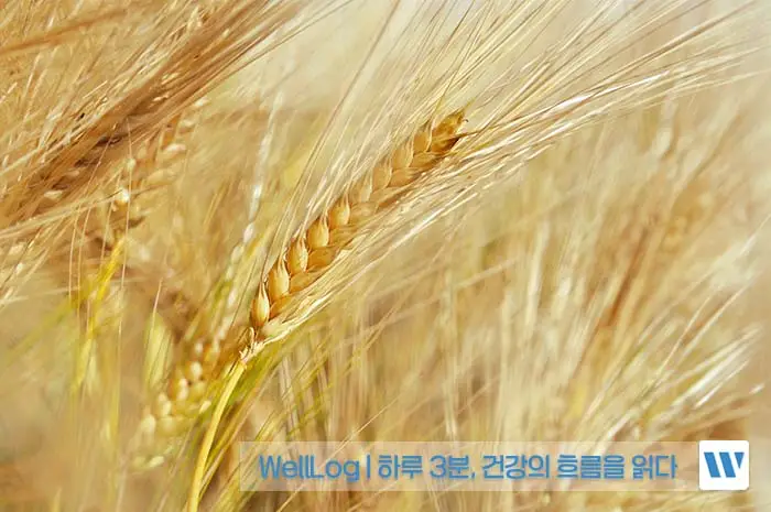 카무트 효소 효능