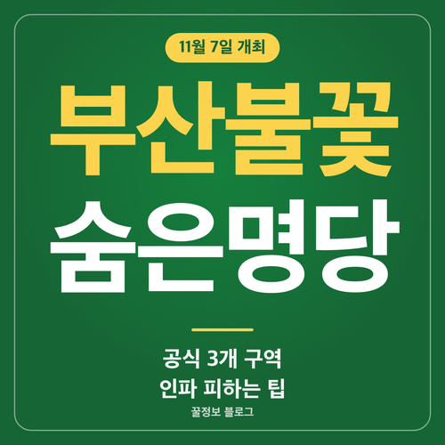 부산불꽃축제 숨은명당 찾는 법과 11월 7일 공식 3개 구역 인파 피하는 관람 팁 썸네일