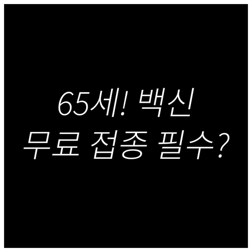 65세 이상 고위험군 코로나 백신 무..
