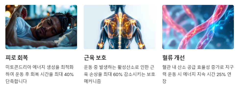 운동성능향상