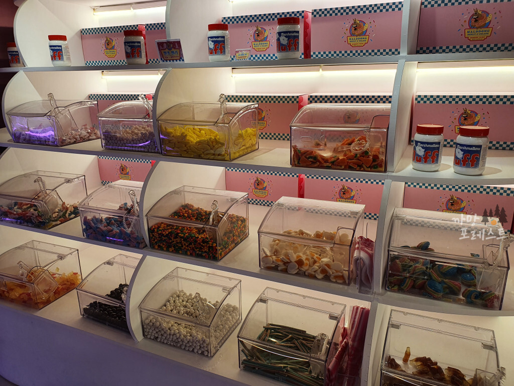 파주 말똥도넛 쿠키