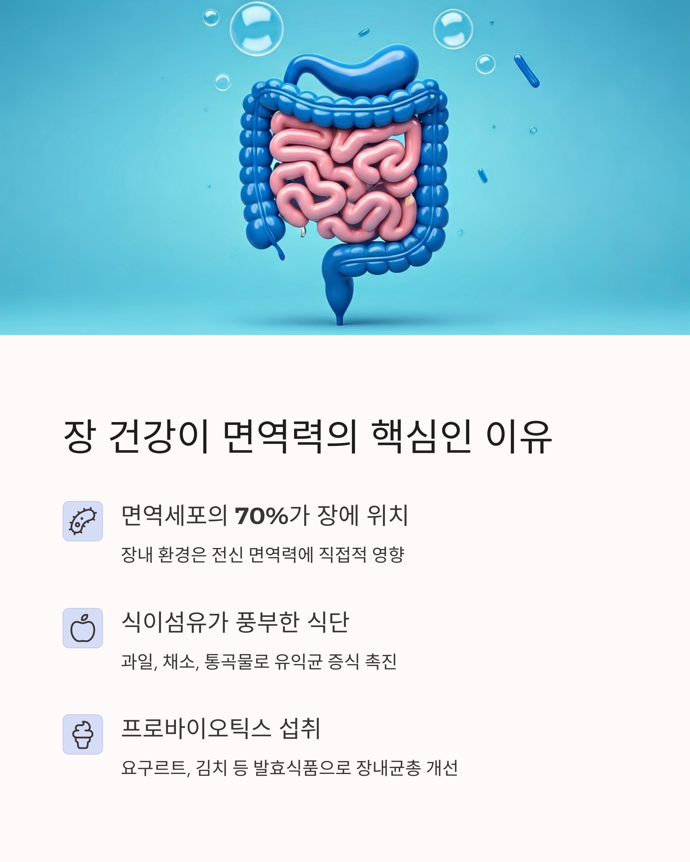 장 건강이 면역력의 핵심인 이유