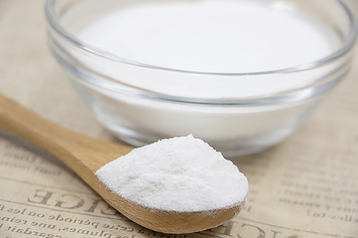 포스파티딜세린-분말