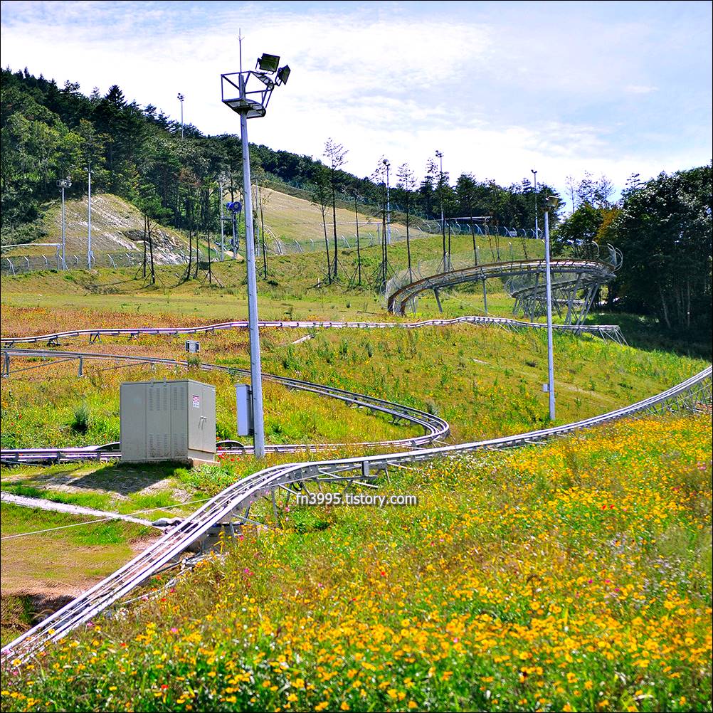 알펜시아 리조트