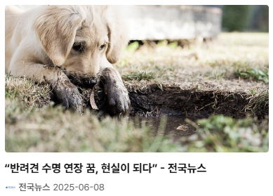 반여견 수명 현실이 되다