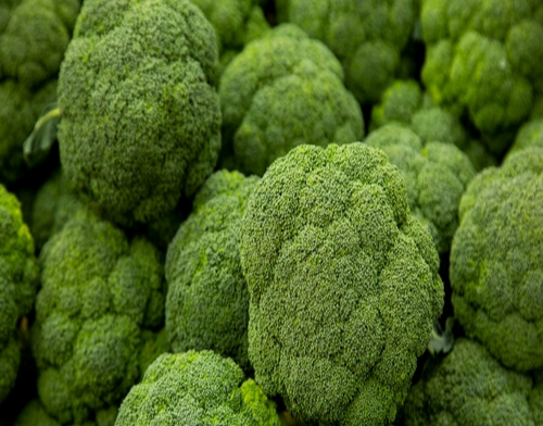 브로콜리 효능 및 부작용