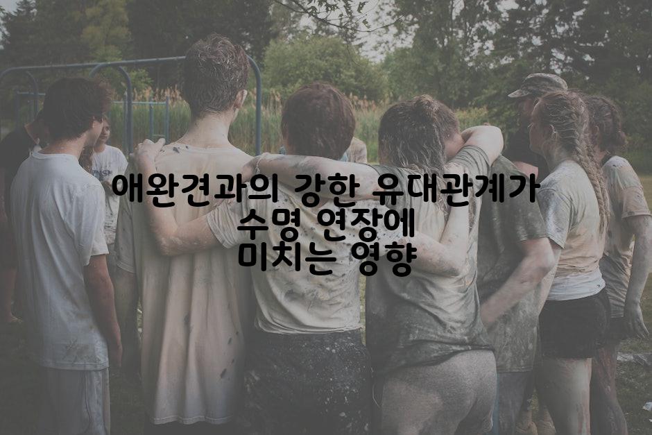 애완견과의 강한 유대관계가 수명 연장에 미치는 영향