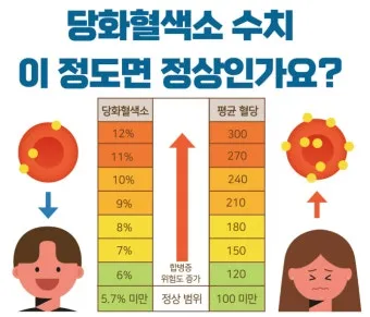 당화혈색소 정상치_29