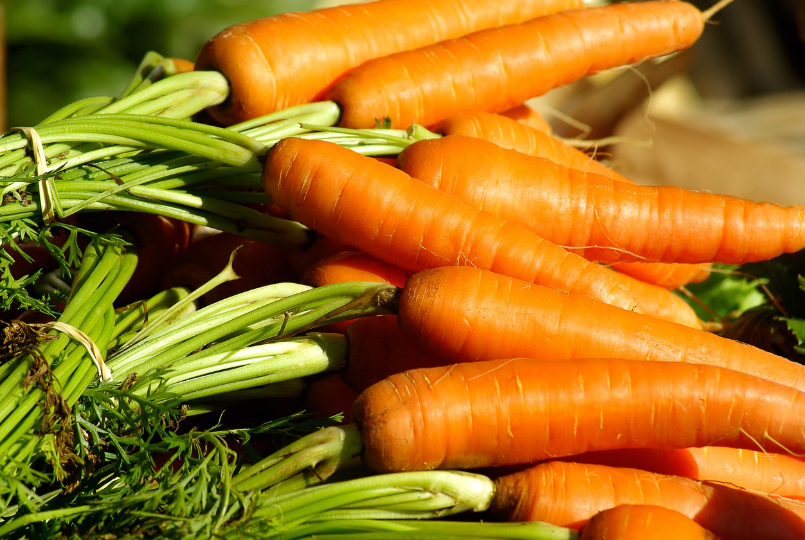 당근 심는 시기와 재배 요령