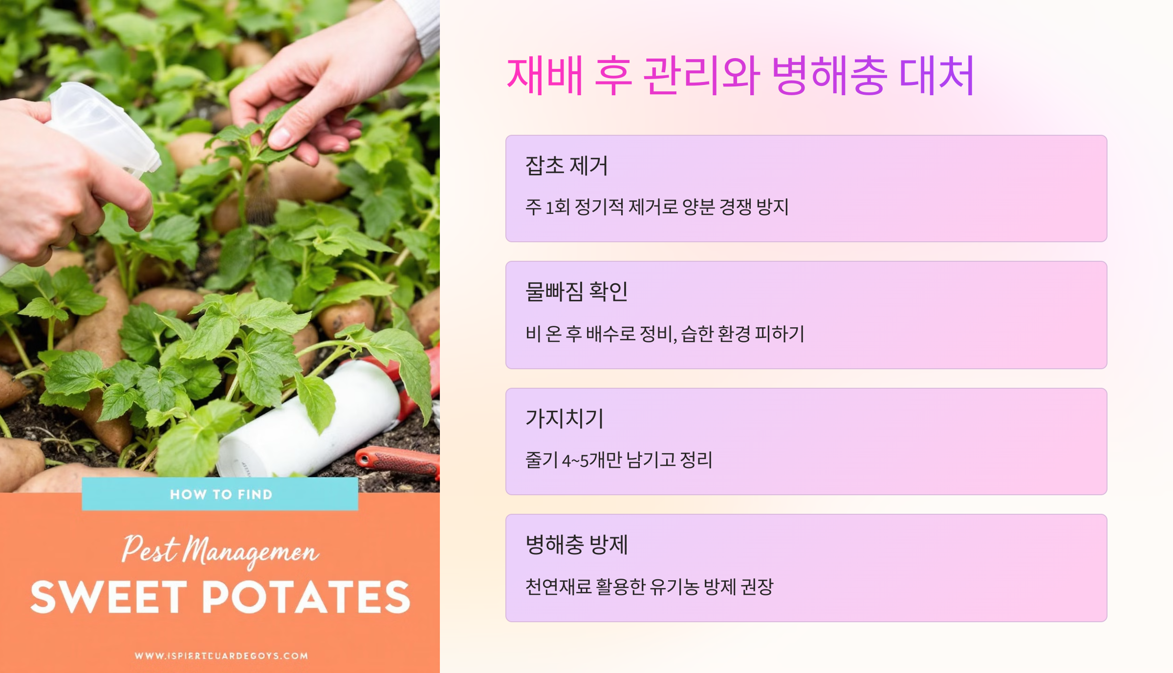 🧤 재배 후 관리법과 병해충 대처법