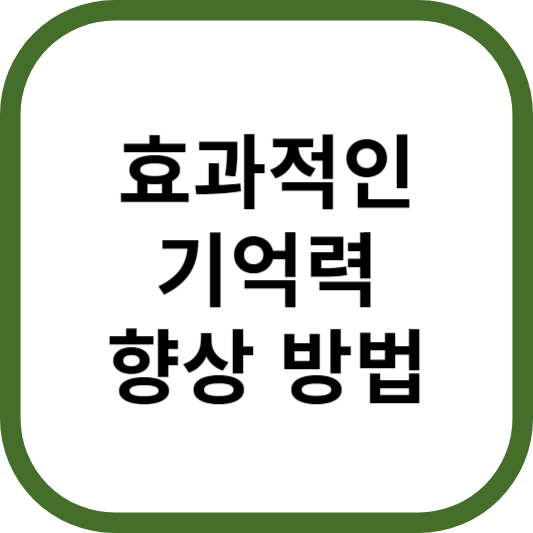 기억력 향상 방법
