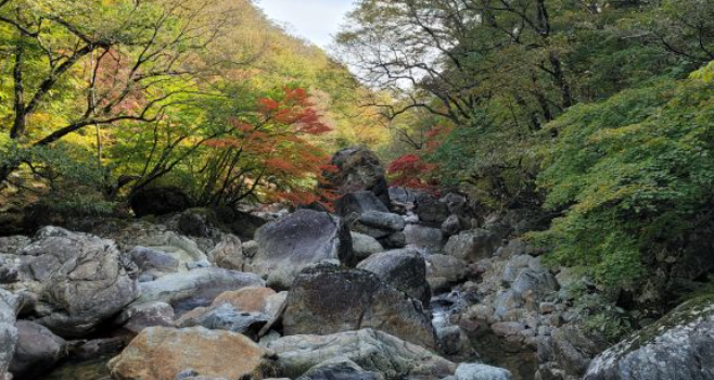 2025 지리산 단풍 절정 시기 & 실시간 현황 + 인기 등산코스 총정리