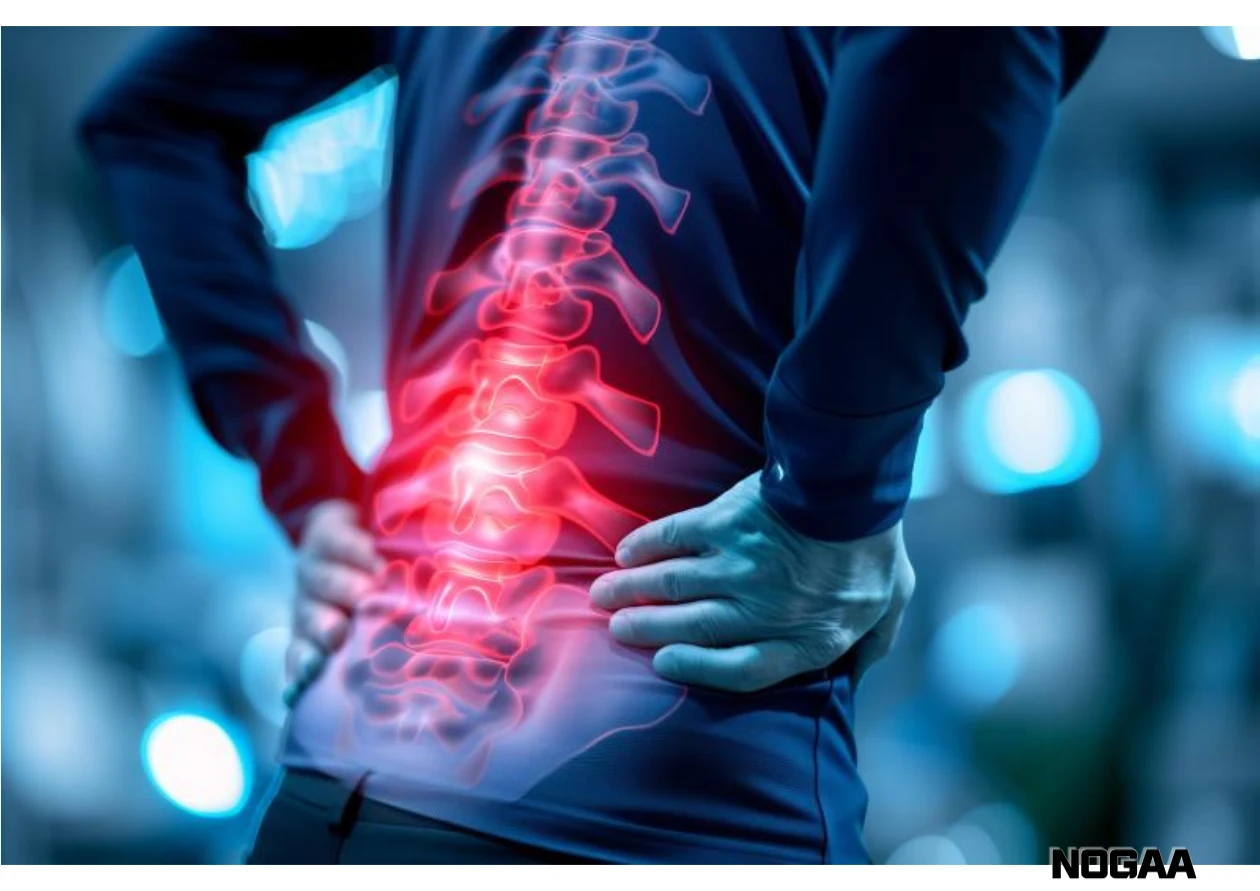 허리가 아픈 이유 주요 원인 5가지