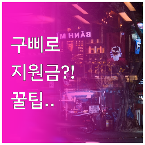 국민비서 구삐 설정으로 정부 지원금 ..