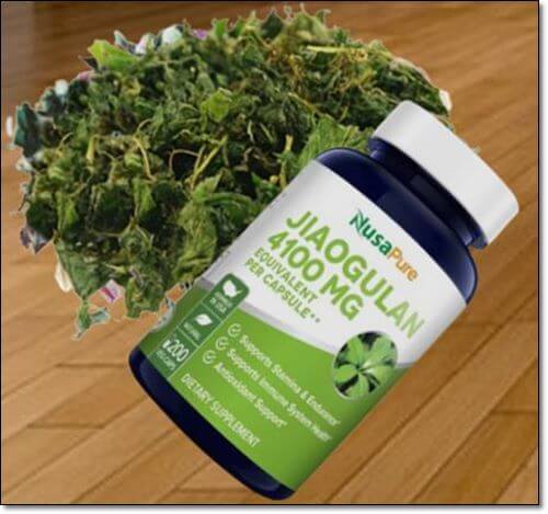 건돌외잎 돌외잎추출물