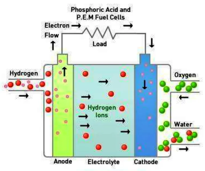 PEMFC의 원리