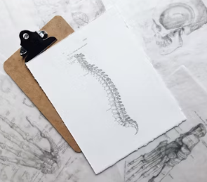 만성 요통 진단기준 치료법 합병증 관리