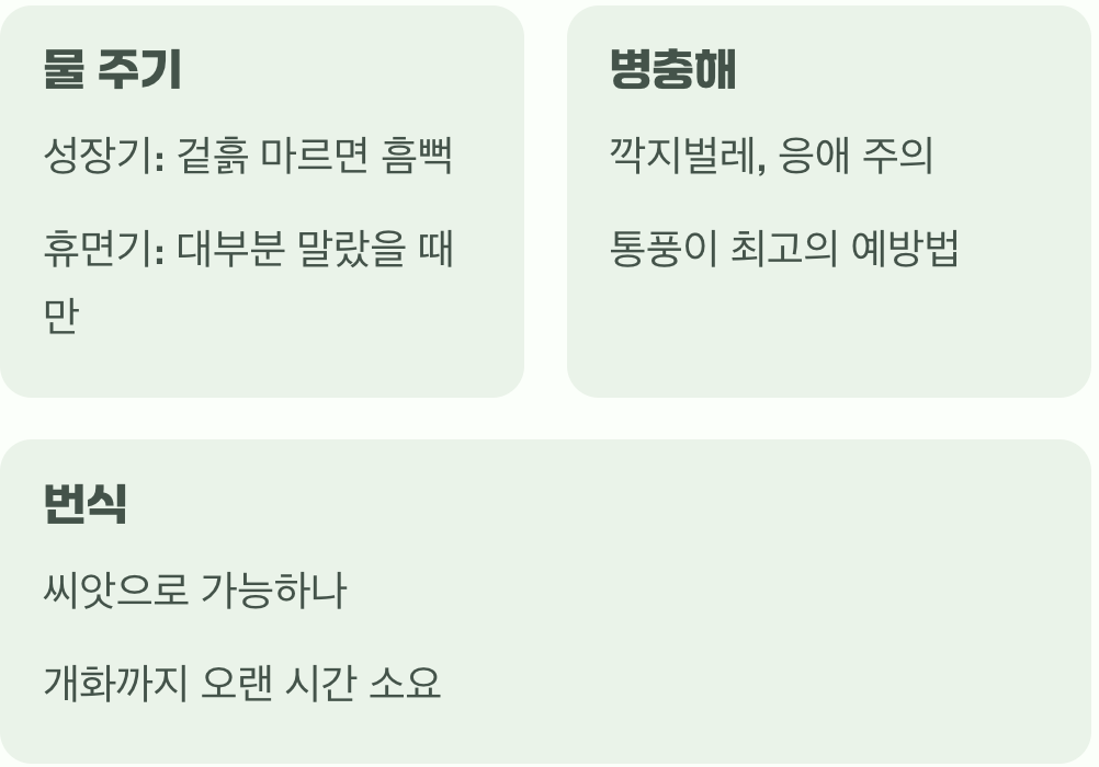 우리 집 병솔나무, 왜 꽃이 안 필까요? (원인 분석)