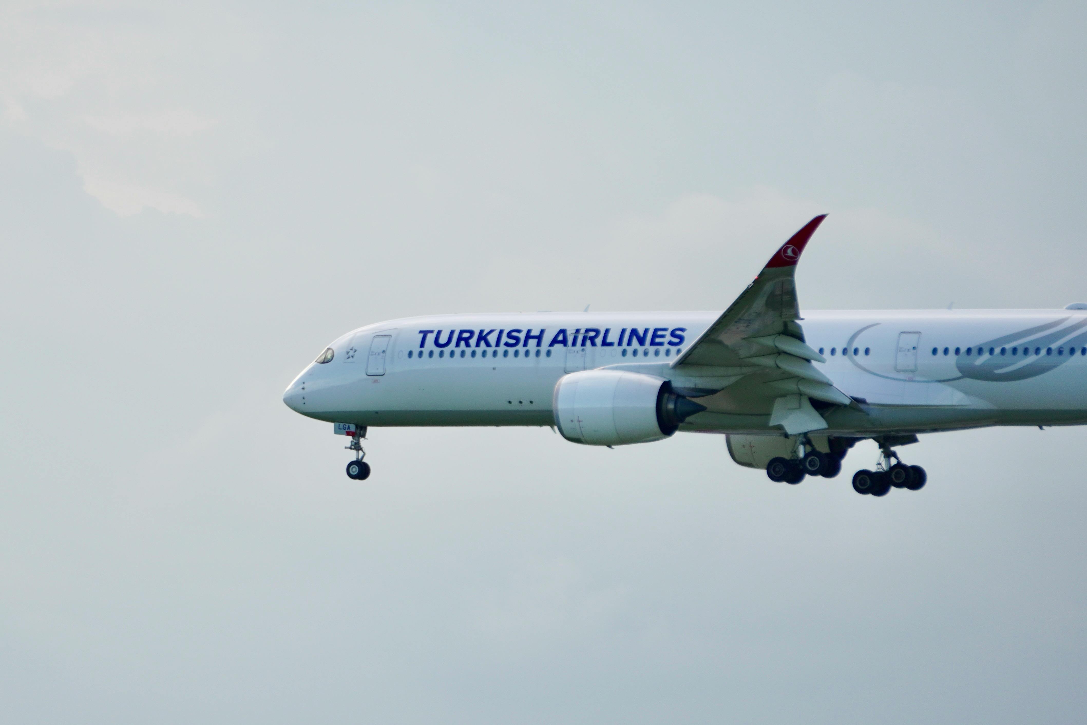 AI시대 글로벌창업 (노코드, 자동화, 스마트워크) 관련 사진