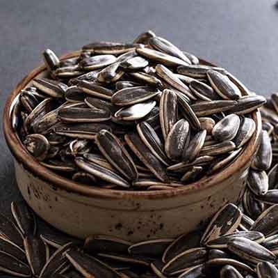 해바라기씨 그릇에 담겨진 모습