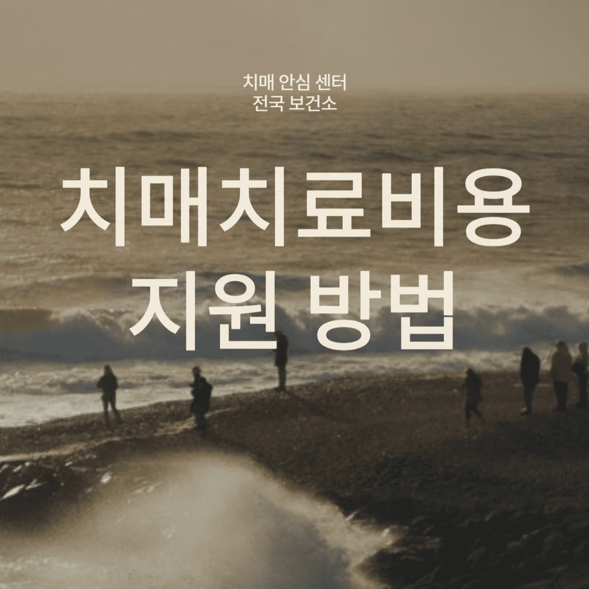 치매치료비용