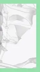 목디스크 예방 스트레칭&amp;#44; 거북목 교정