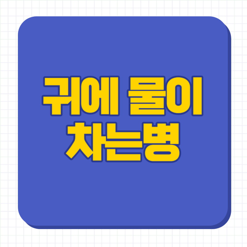 귀에 물이 차는병