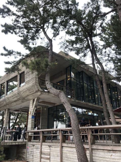 테라로사-사천점