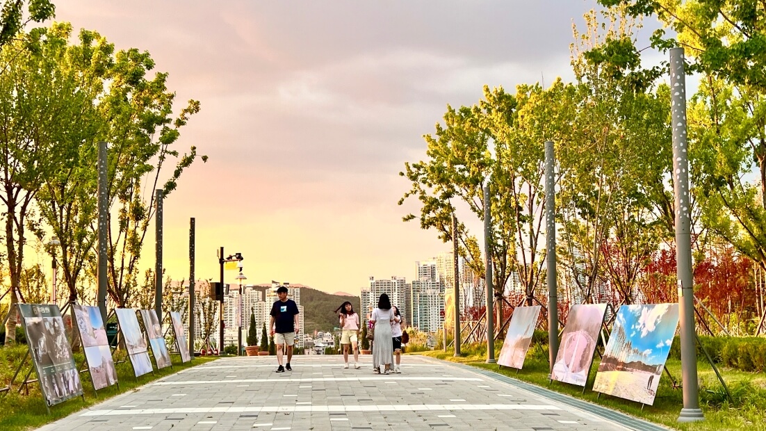 구미 다온숲 수국